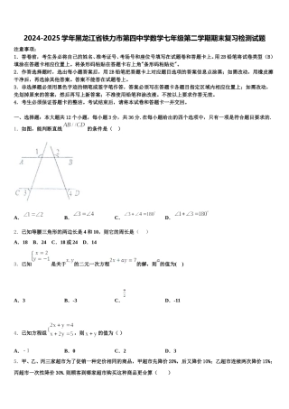 2024-2025学年黑龙江省铁力市第四中学数学七年级第二学期期末复习检测试题含解析