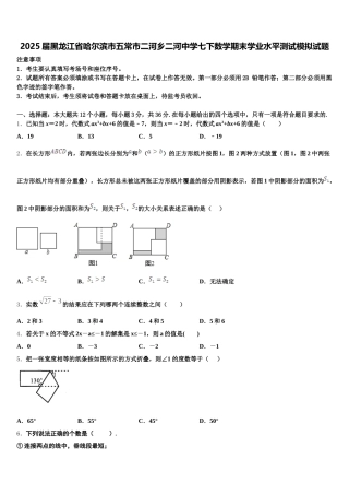 2025届黑龙江省哈尔滨市五常市二河乡二河中学七下数学期末学业水平测试模拟试题含解析