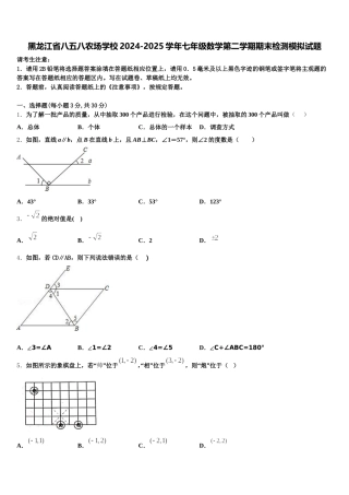 黑龙江省八五八农场学校2024-2025学年七年级数学第二学期期末检测模拟试题含解析