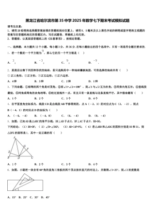 黑龙江省哈尔滨市第35中学2025年数学七下期末考试模拟试题含解析