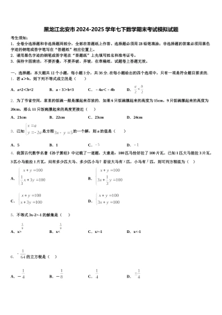 黑龙江北安市2024-2025学年七下数学期末考试模拟试题含解析