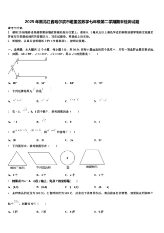 2025年黑龙江省哈尔滨市道里区数学七年级第二学期期末检测试题含解析