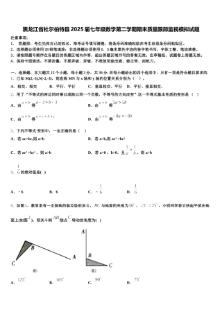 黑龙江省杜尔伯特县2025届七年级数学第二学期期末质量跟踪监视模拟试题含解析