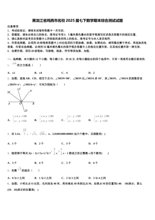 黑龙江省鸡西市名校2025届七下数学期末综合测试试题含解析