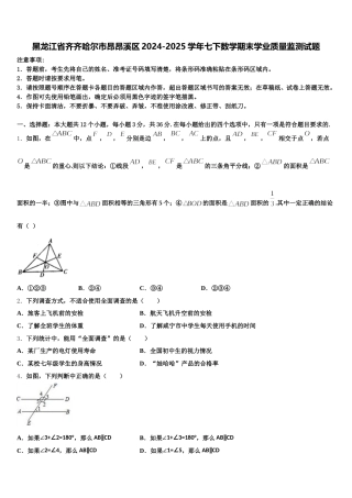 黑龙江省齐齐哈尔市昂昂溪区2024-2025学年七下数学期末学业质量监测试题含解析