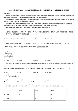 2025年黑龙江省大庆市肇源县第四中学七年级数学第二学期期末经典试题含解析