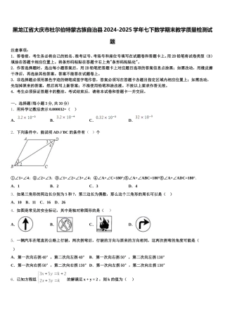 黑龙江省大庆市杜尔伯特蒙古族自治县2024-2025学年七下数学期末教学质量检测试题含解析