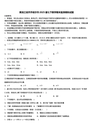 黑龙江省齐齐哈尔市2025届七下数学期末监测模拟试题含解析