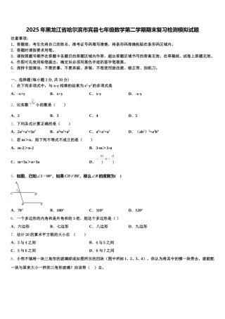 2025年黑龙江省哈尔滨市宾县七年级数学第二学期期末复习检测模拟试题含解析