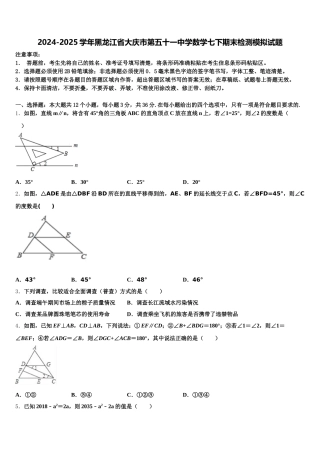 2024-2025学年黑龙江省大庆市第五十一中学数学七下期末检测模拟试题含解析
