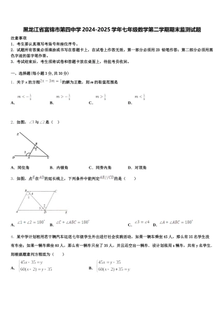 黑龙江省富锦市第四中学2024-2025学年七年级数学第二学期期末监测试题含解析