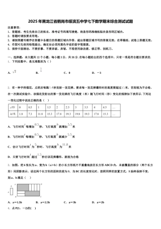 2025年黑龙江省鹤岗市绥滨五中学七下数学期末综合测试试题含解析
