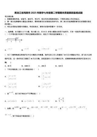 黑龙江省鸡西市2025年数学七年级第二学期期末质量跟踪监视试题含解析