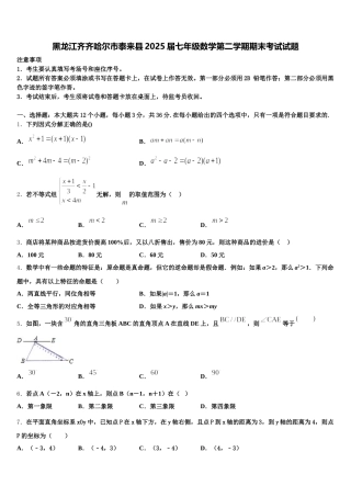 黑龙江齐齐哈尔市泰来县2025届七年级数学第二学期期末考试试题含解析