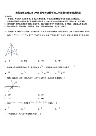 黑龙江省双鸭山市2025届七年级数学第二学期期末达标测试试题含解析