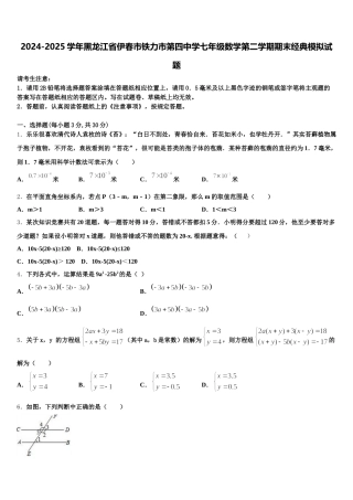 2024-2025学年黑龙江省伊春市铁力市第四中学七年级数学第二学期期末经典模拟试题含解析