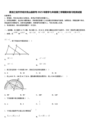 黑龙江省齐齐哈尔克山县联考2025年数学七年级第二学期期末复习检测试题含解析