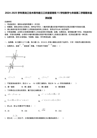 2024-2025学年黑龙江佳木斯市建三江农垦管理局15学校数学七年级第二学期期末监测试题含解析