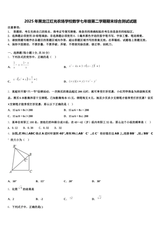 2025年黑龙江红光农场学校数学七年级第二学期期末综合测试试题含解析