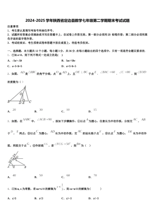 2024-2025学年陕西省定边县数学七年级第二学期期末考试试题含解析