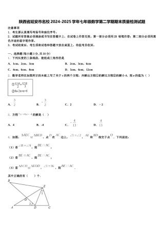 陕西省延安市名校2024-2025学年七年级数学第二学期期末质量检测试题含解析