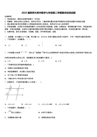2025届陕师大附中数学七年级第二学期期末检测试题含解析