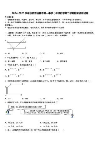 2024-2025学年陕西省榆林市第一中学七年级数学第二学期期末调研试题含解析
