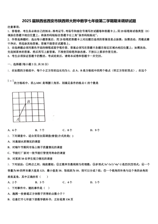 2025届陕西省西安市陕西师大附中数学七年级第二学期期末调研试题含解析