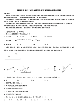 陕西省铜川市2025年数学七下期末达标检测模拟试题含解析