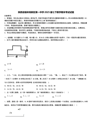 陕西省榆林高新区第一中学2025届七下数学期末考试试题含解析