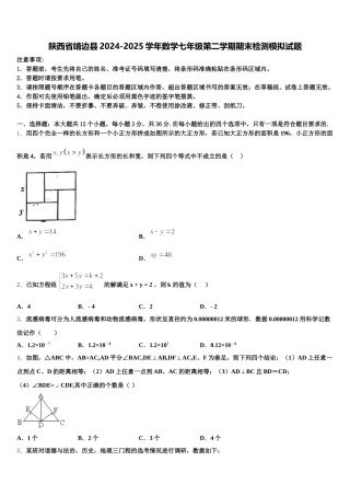 陕西省靖边县2024-2025学年数学七年级第二学期期末检测模拟试题含解析