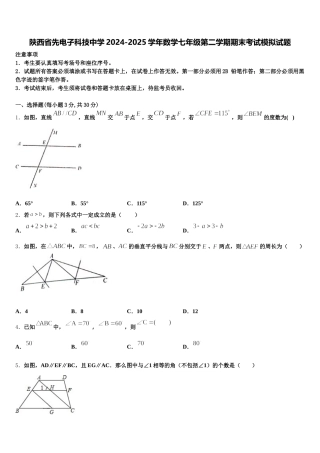 陕西省先电子科技中学2024-2025学年数学七年级第二学期期末考试模拟试题含解析