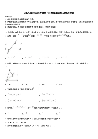2025年陕西师大附中七下数学期末复习检测试题含解析