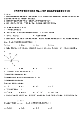 陕西省西安市陕师大附中2024-2025学年七下数学期末检测试题含解析