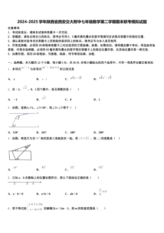 2024-2025学年陕西省西安交大附中七年级数学第二学期期末联考模拟试题含解析