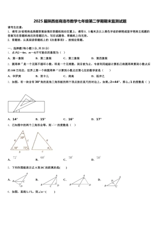 2025届陕西省商洛市数学七年级第二学期期末监测试题含解析