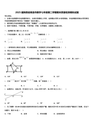 2025届陕西省商洛市数学七年级第二学期期末质量检测模拟试题含解析
