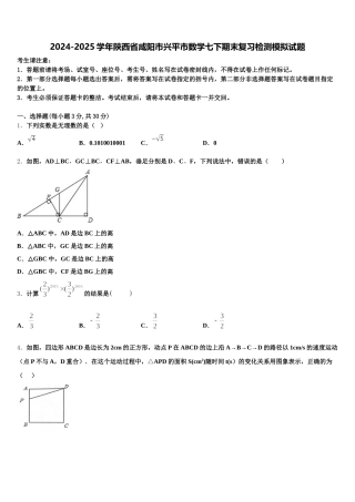 2024-2025学年陕西省咸阳市兴平市数学七下期末复习检测模拟试题含解析