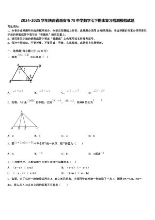 2024-2025学年陕西省西安市78中学数学七下期末复习检测模拟试题含解析