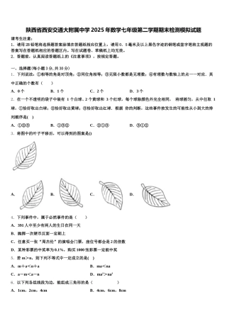 陕西省西安交通大附属中学2025年数学七年级第二学期期末检测模拟试题含解析
