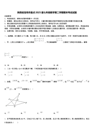 陕西省宝鸡市重点2025届七年级数学第二学期期末考试试题含解析