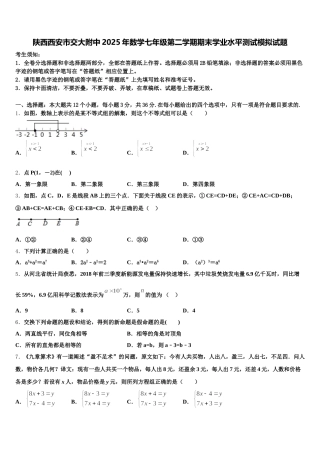 陕西西安市交大附中2025年数学七年级第二学期期末学业水平测试模拟试题含解析