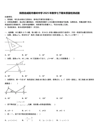 陕西省咸阳市秦岭中学2025年数学七下期末质量检测试题含解析