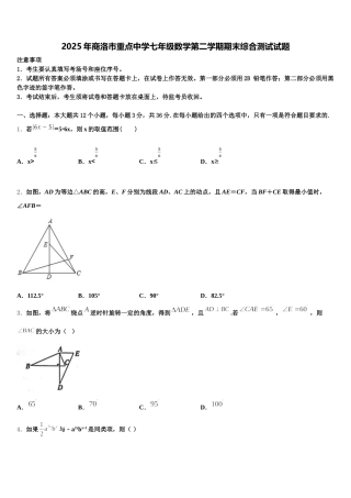 2025年商洛市重点中学七年级数学第二学期期末综合测试试题含解析