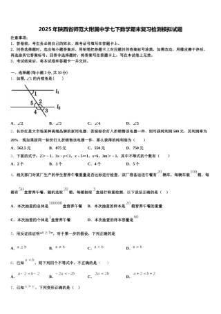 2025年陕西省师范大附属中学七下数学期末复习检测模拟试题含解析