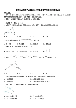 浙江省台州市天台县2025年七下数学期末检测模拟试题含解析