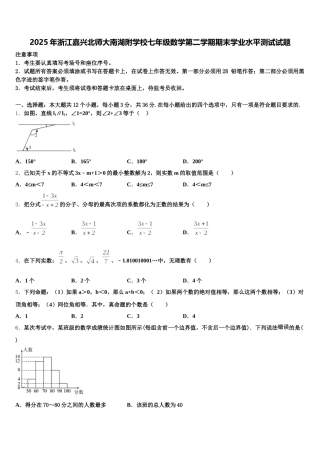 2025年浙江嘉兴北师大南湖附学校七年级数学第二学期期末学业水平测试试题含解析
