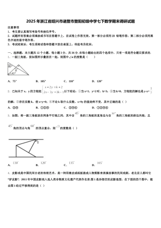 2025年浙江省绍兴市诸暨市暨阳初级中学七下数学期末调研试题含解析