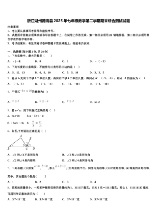 浙江湖州德清县2025年七年级数学第二学期期末综合测试试题含解析