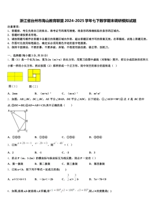 浙江省台州市海山教育联盟2024-2025学年七下数学期末调研模拟试题含解析